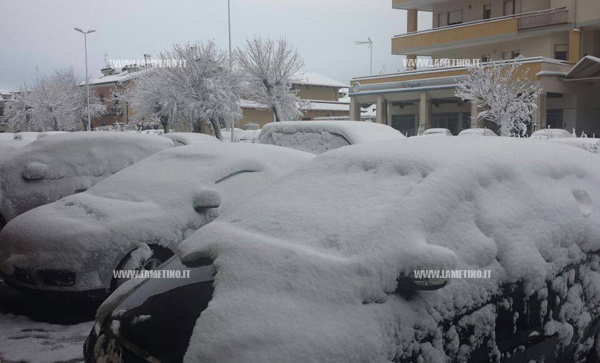neve-viboV-9feb-15.jpg