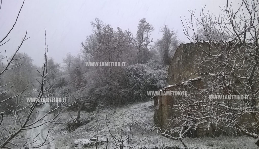 neve1-02142018-174225.jpg