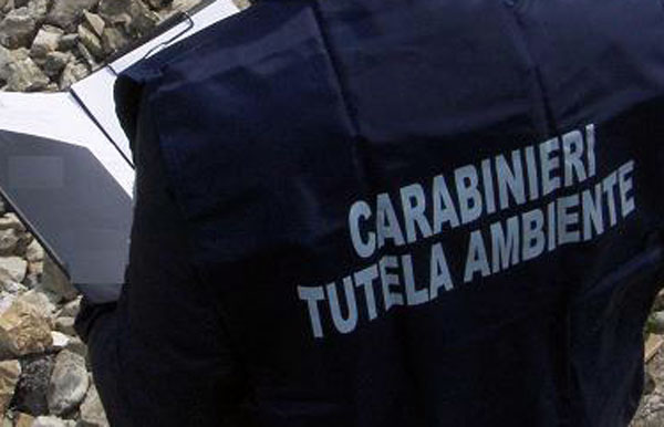 Traffico rifiuti tra Italia e Tunisia, operazione Dia e Noe anche in Calabria