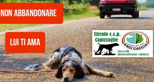 Lamezia, Circolo ccp Capizzaglie lancia campagna contro abbandono dei cani