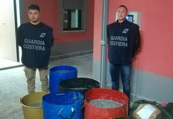 Sequestrati oltre 3 quintali di novellame di sarda a Locri