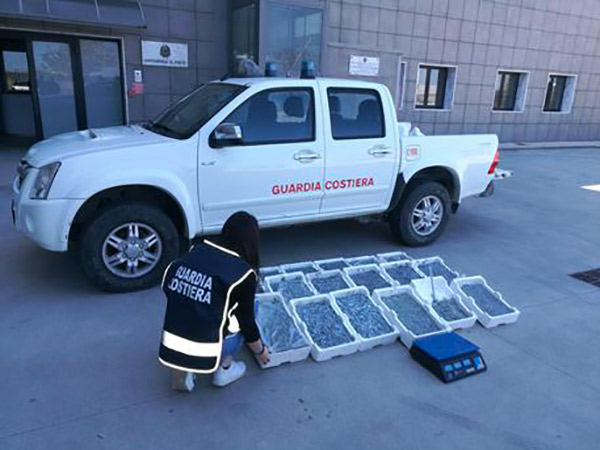 Sequestrati 130 chili di novellame a Crotone, prodotto in cattivo stato di conservazione 
