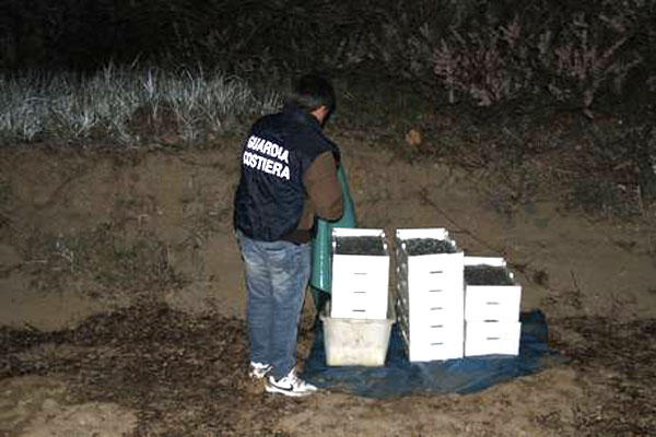 Calabria: Sequestrati da Guardia costiera 120 chili di novellame nel crotonese