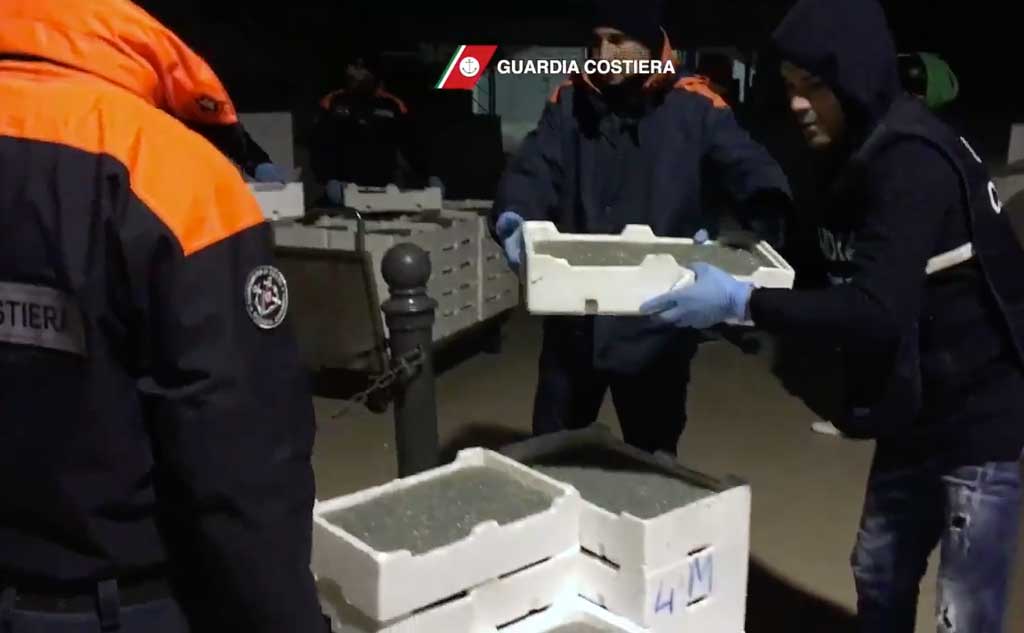 Pesca, sequestrati nel cosentino 3,7 quintali di novellame 
