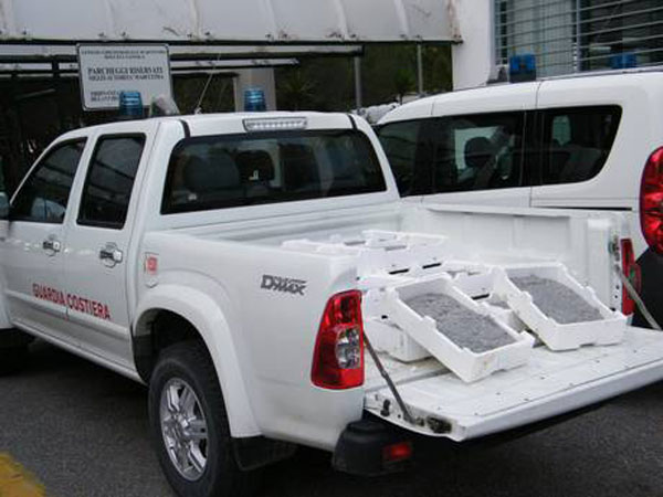 Calabria: Guardia costiera sequestra 100 kg di novellame di sarda