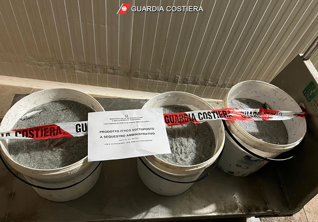 Guardia costiera sequestra 330 chili di novellame nel Cosentino