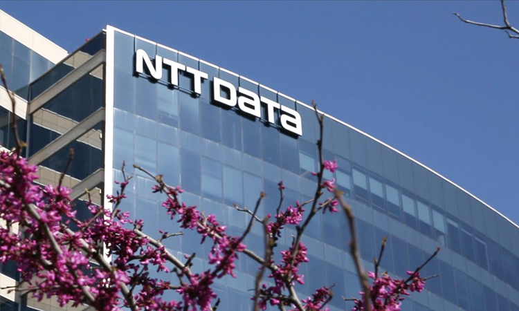 “La Silicon Valley è a Cosenza”: mille assunzioni  e 30% di presenze femminili per il colosso giapponese NTT DATA