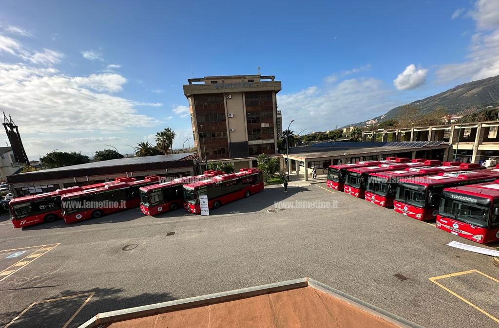 nuovi-pullman-lamezia-multiservizi-81c88c78d71_b07ad_c8ff1.jpg