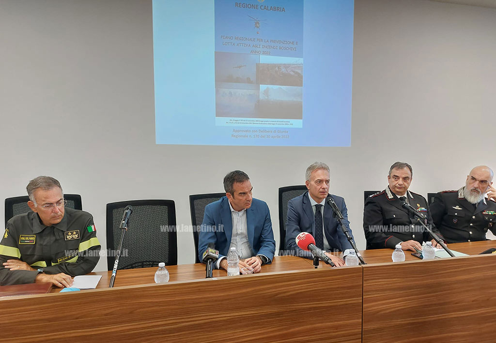 Lotta agli incendi in Calabria, ecco il nuovo piano regionale: il ruolo dell'Arma e incentivi per associazioni di protezione civile