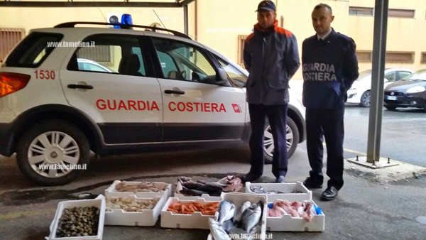 Operazione “Labyrinth”: sequestrati oltre 165 kg di pesce e 30mila euro di multe