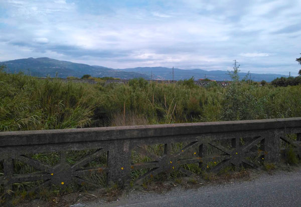 Lamezia: FdI segnala presenza sterpaglie su alcune strade e torrenti