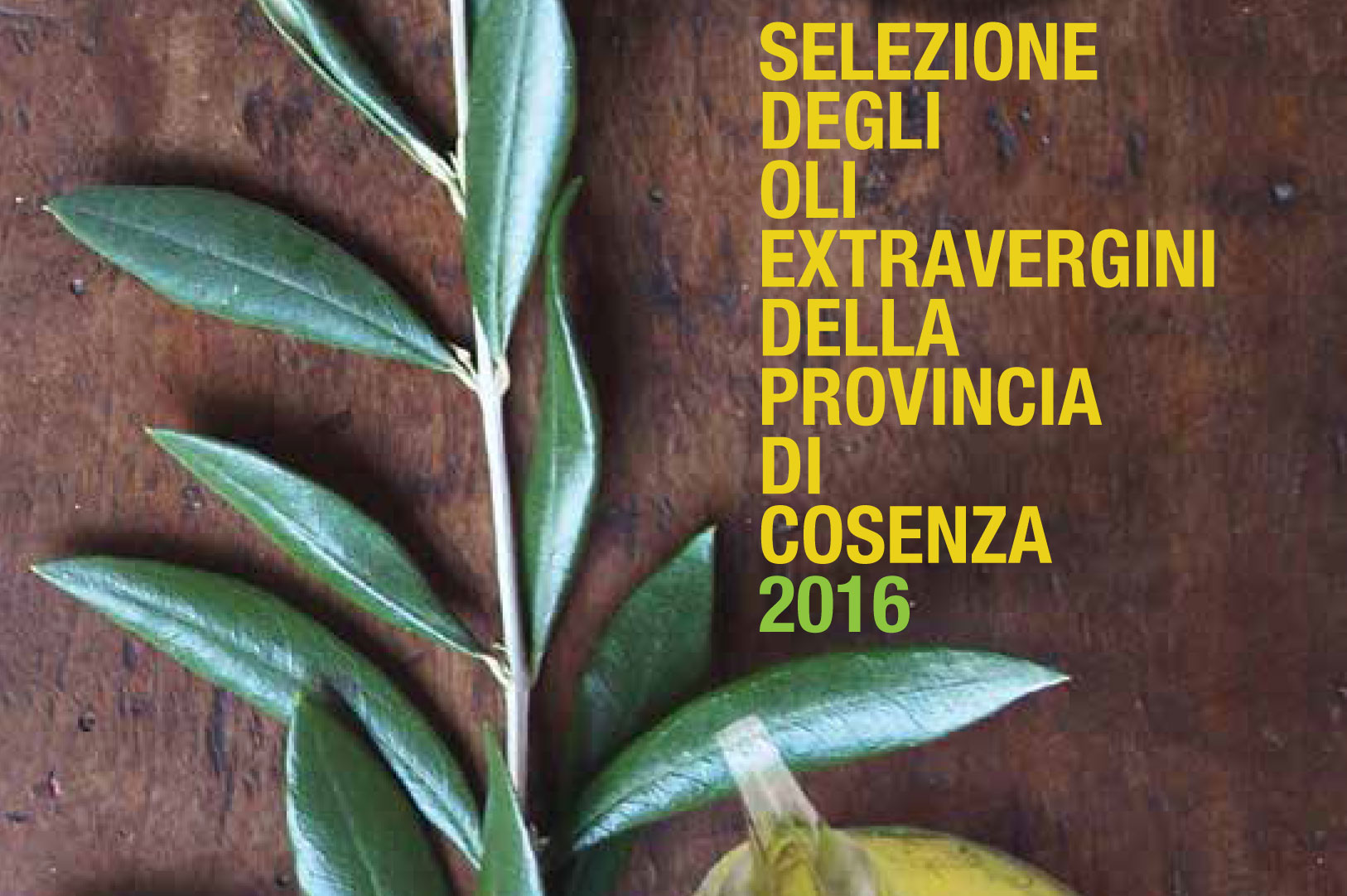 Camera di Commercio Cosenza premia i migliori oli della provincia