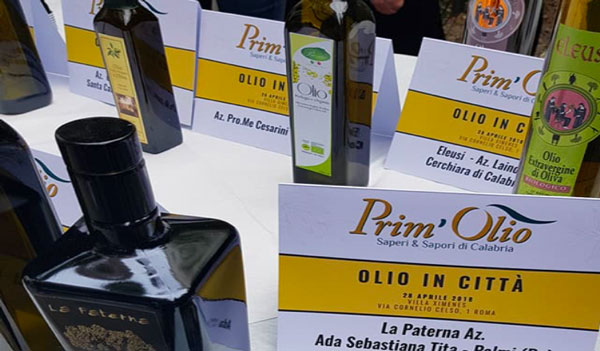 olio-04292018-130314.jpg