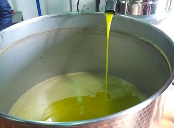 Olio, premio Slow Food a cinque aziende calabresi 