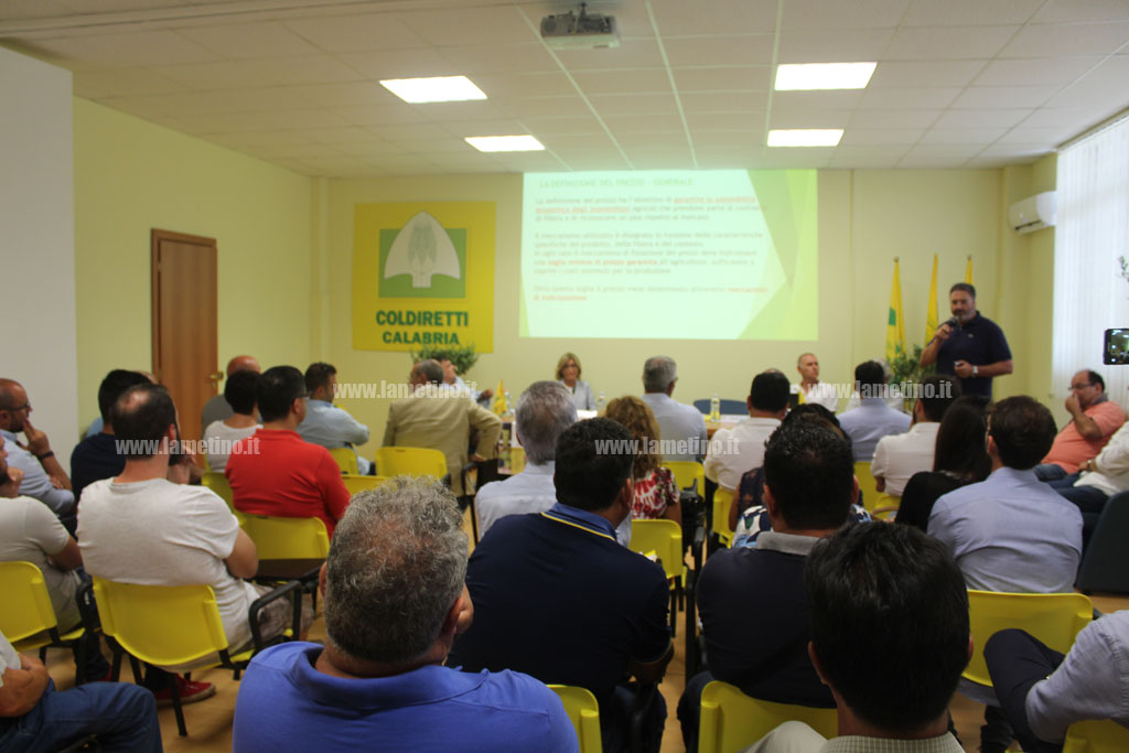 Lamezia, "La Calabria dell’olio di qualità, una sfida possibile": le conquiste degli olivicoltori all’incontro di Coldiretti