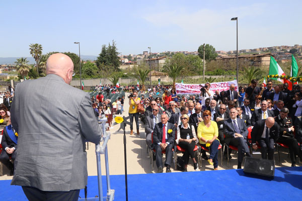 oliverio-gerbera-gialla-ok.jpg