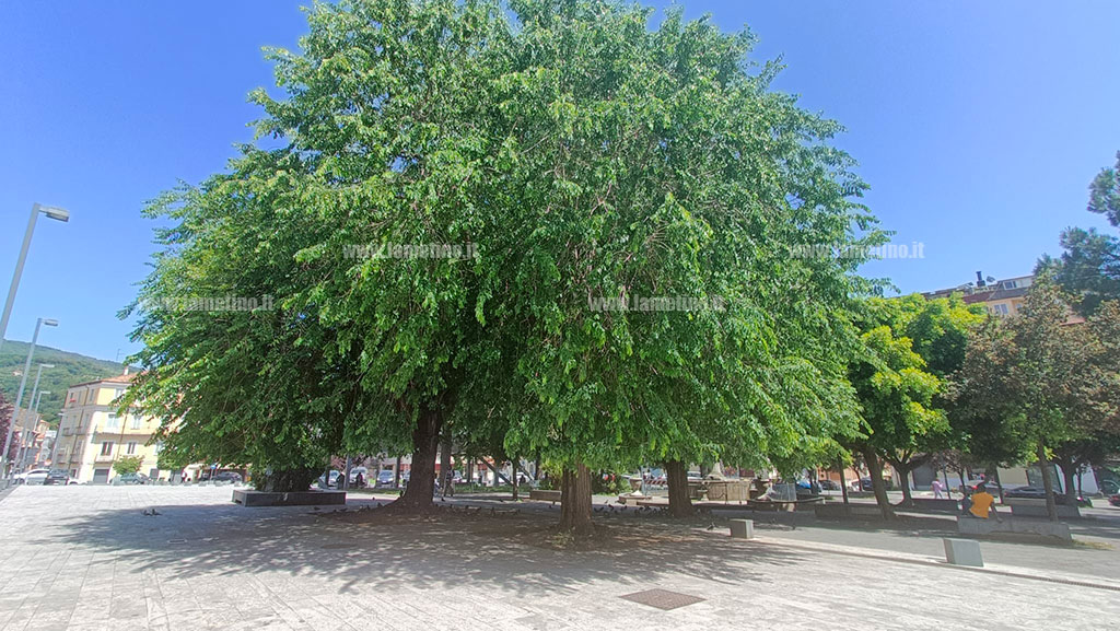 olmo-p-mazzini-2024-05-19-at-15.02.21_80943.jpg