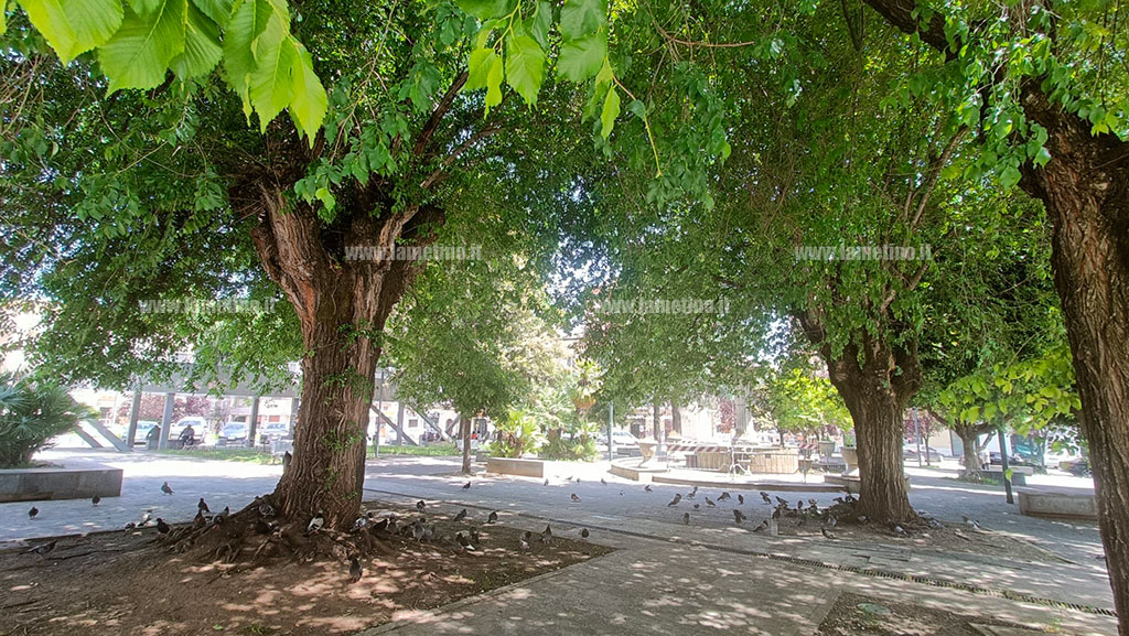 olmo-piazza-mazzini-2024-05-19-at-15.02.20_cbd2a.jpg