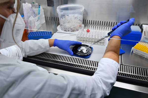 Covid, in Calabria terzo caso di variante Omicron: è un 37enne di Catanzaro