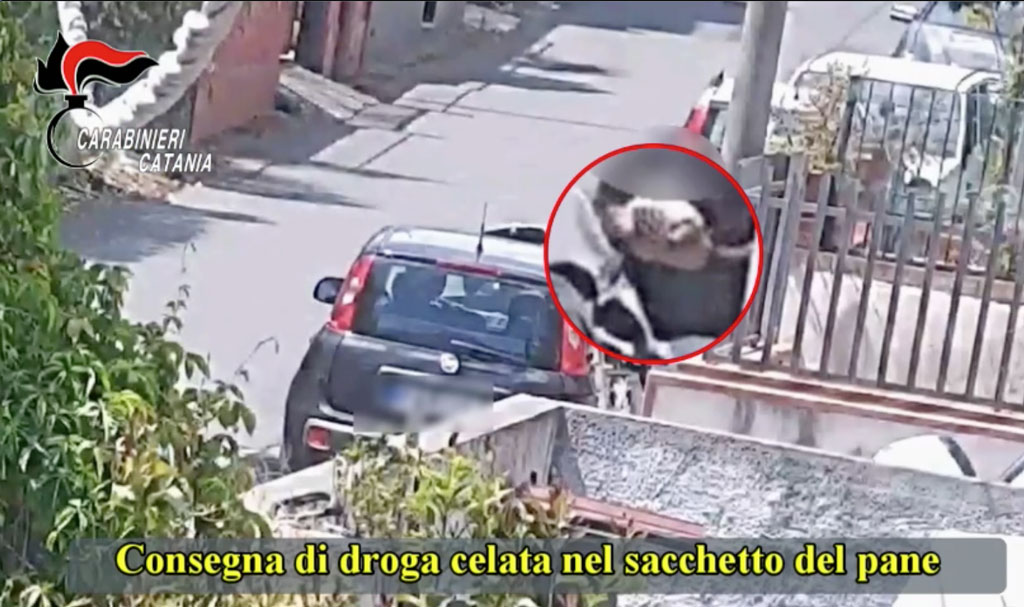 Ordinavano pane per comprare cocaina, arresti tra Reggio e Catania - Video