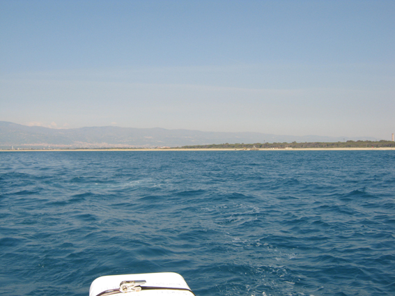 Lamezia, operazione Natter: sgomberata area Golfo da gabbie abbandonate