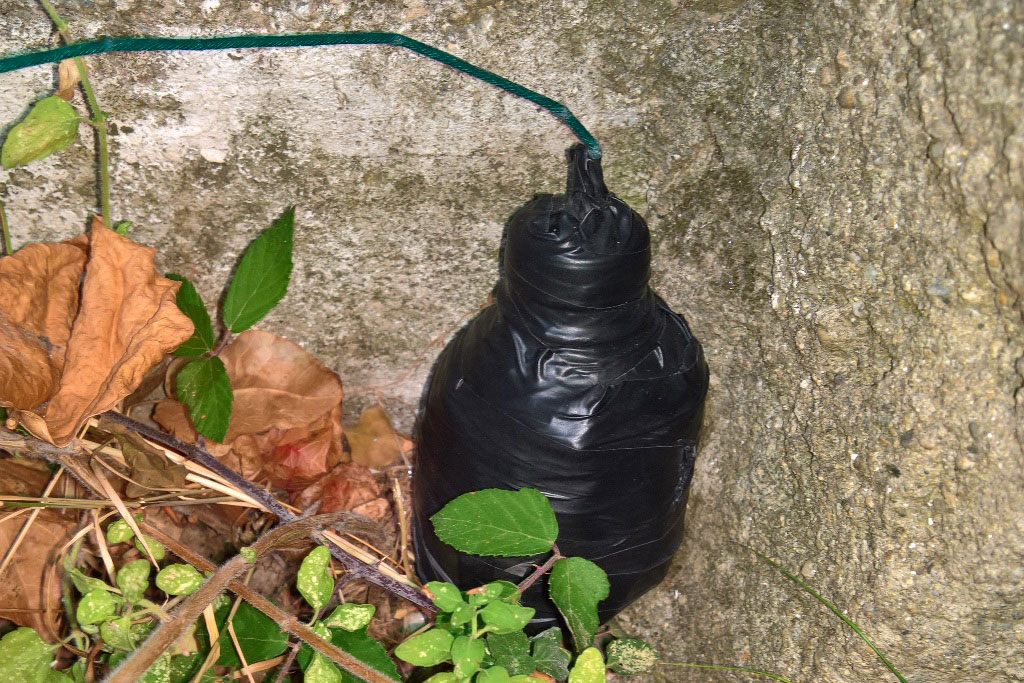 Lamezia: trovato ordigno esplosivo in via Nenni, arrestati due minorenni