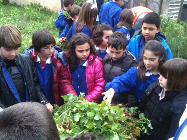 Slow food, lezioni nell’orto alla scuola elementare Santa Caterina Jonio