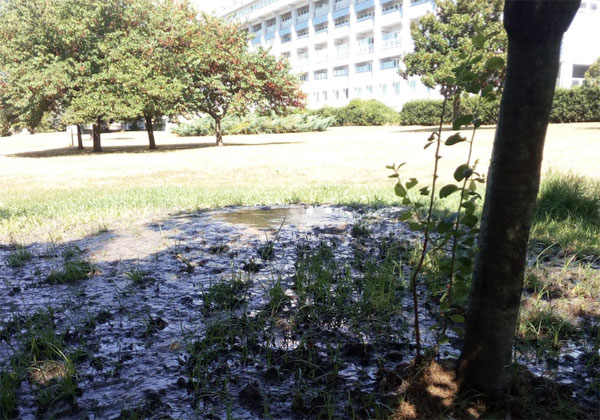 Lamezia, Comitato Malati Cronici: "Melma e rifiuti ingombranti davanti ospedale"