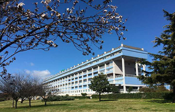 Lamezia, coordinamento 19 marzo: "Vogliamo il rispetto dei diritti negati e non il sopruso sulla pelle dei malati”