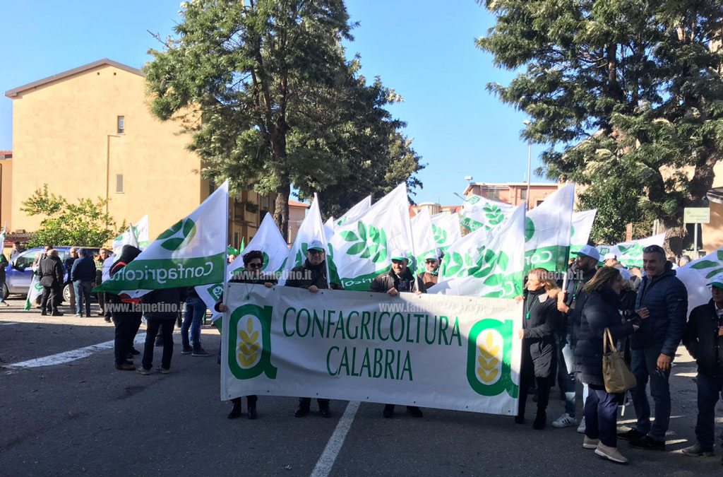 p-itali-olivicoltori-41219.jpg
