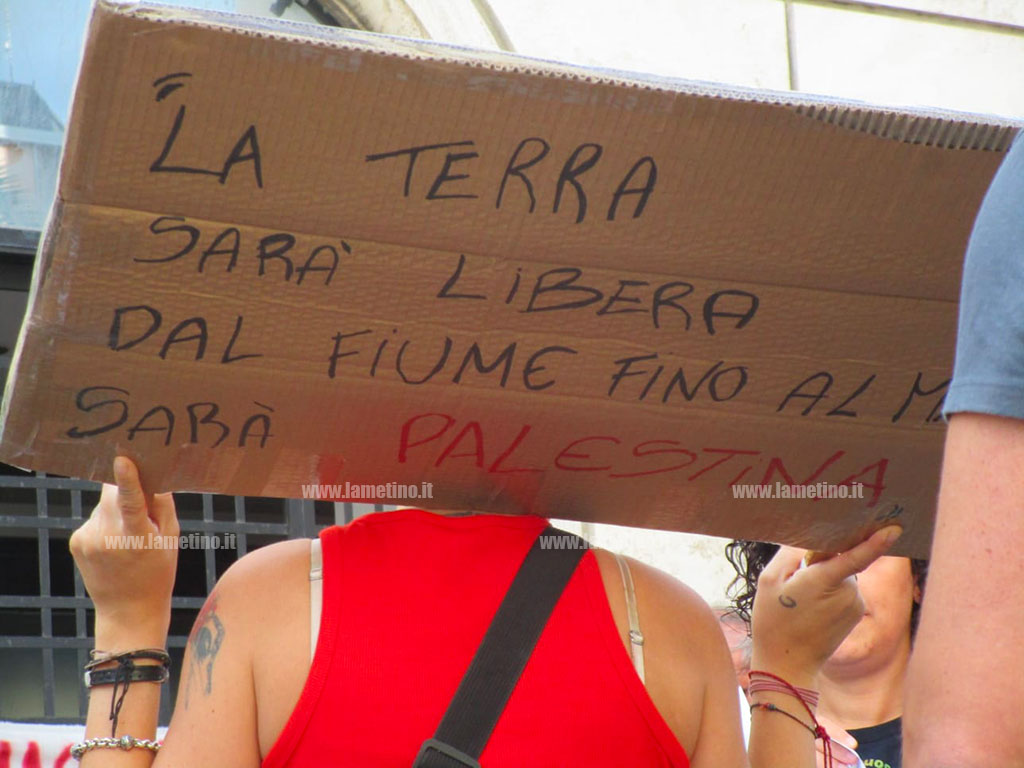 pal9_38148.jpg
