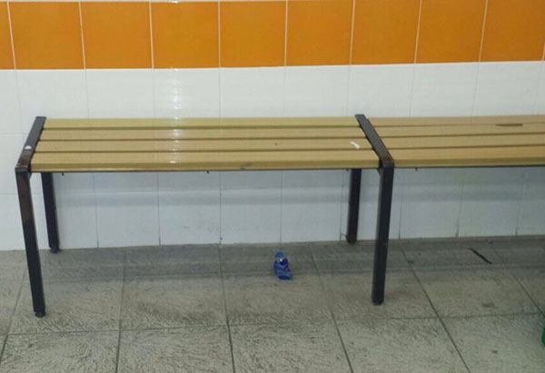 palasparti_deg2.jpg