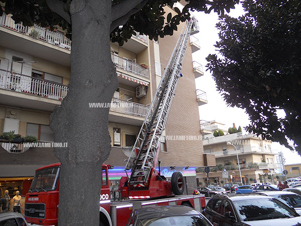 palazzo_timavo1.jpg