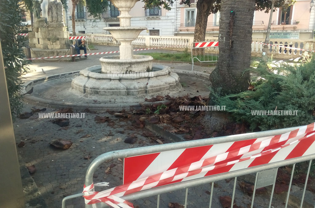 Lamezia, si stacca parte corteccia palma in villetta su corso Numistrano: transennata area