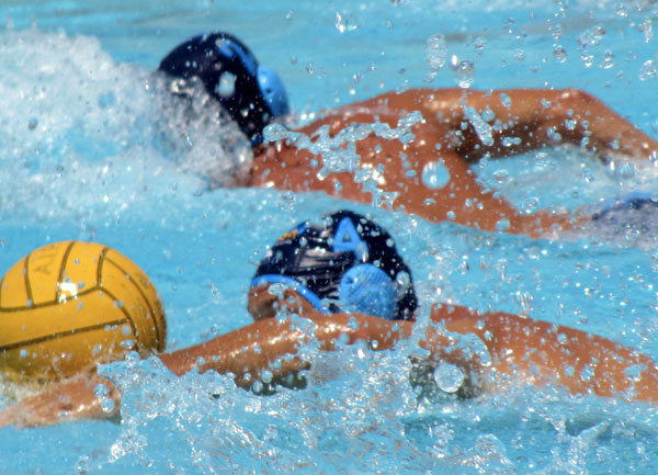 Lamezia Shark ringrazia pubblico dopo prima gara pallanuoto di serie C in città