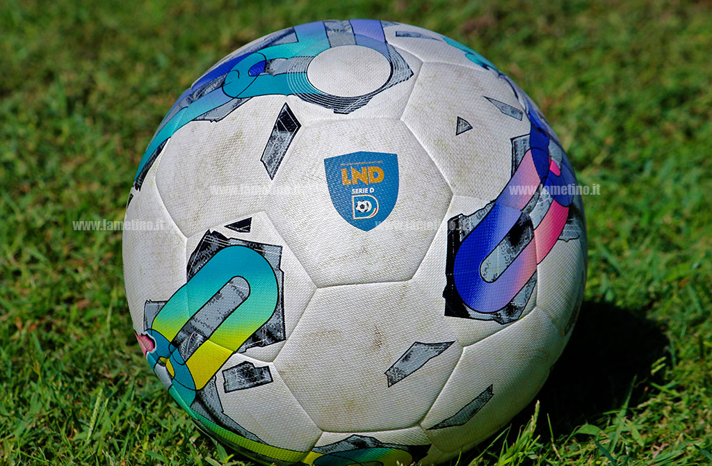 Serie D, il punto sul campionato e la voce dei protagonisti in casa Fc Lamezia