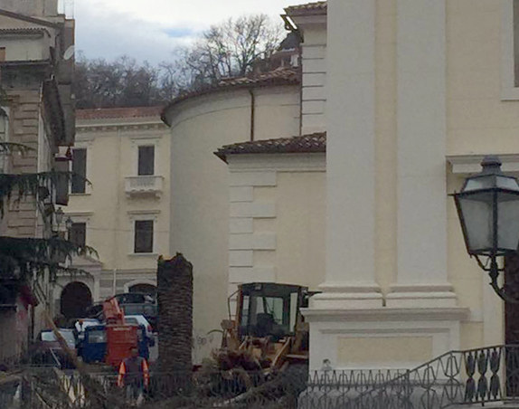 Lamezia: abbattuta palma infettata da Punteruolo vicino Cattedrale