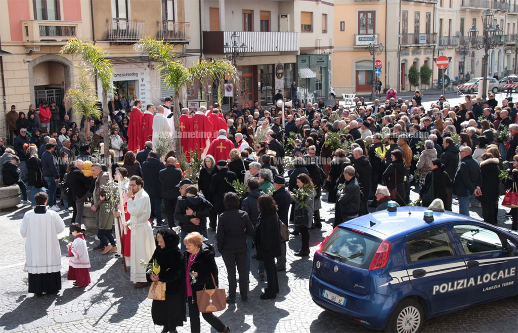 palme-2024-03-24-alle-11.20.14_a9b5b.jpg