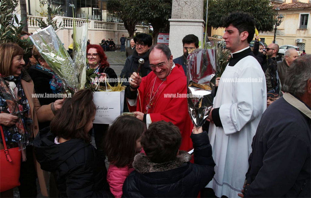 palme-2024-03-24-alle-11.20.46_e67a8.jpg