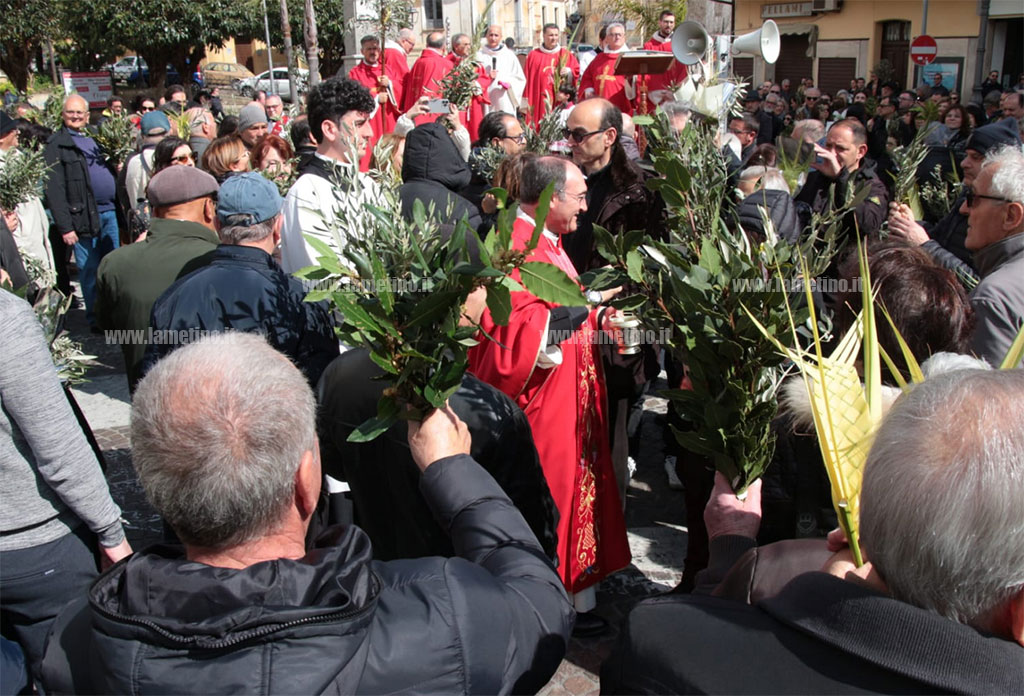 palme-2024-03-24-alle-11.41.43_6ce4f.jpg