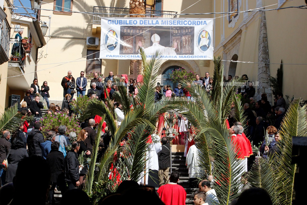 palme2016-3.jpg