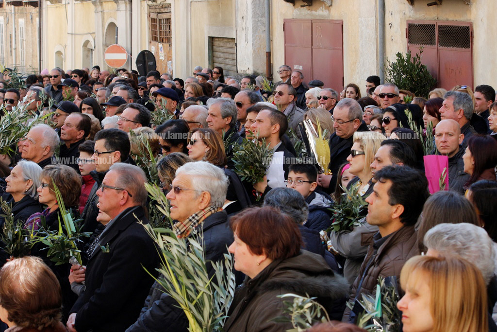 palme2016-4.jpg