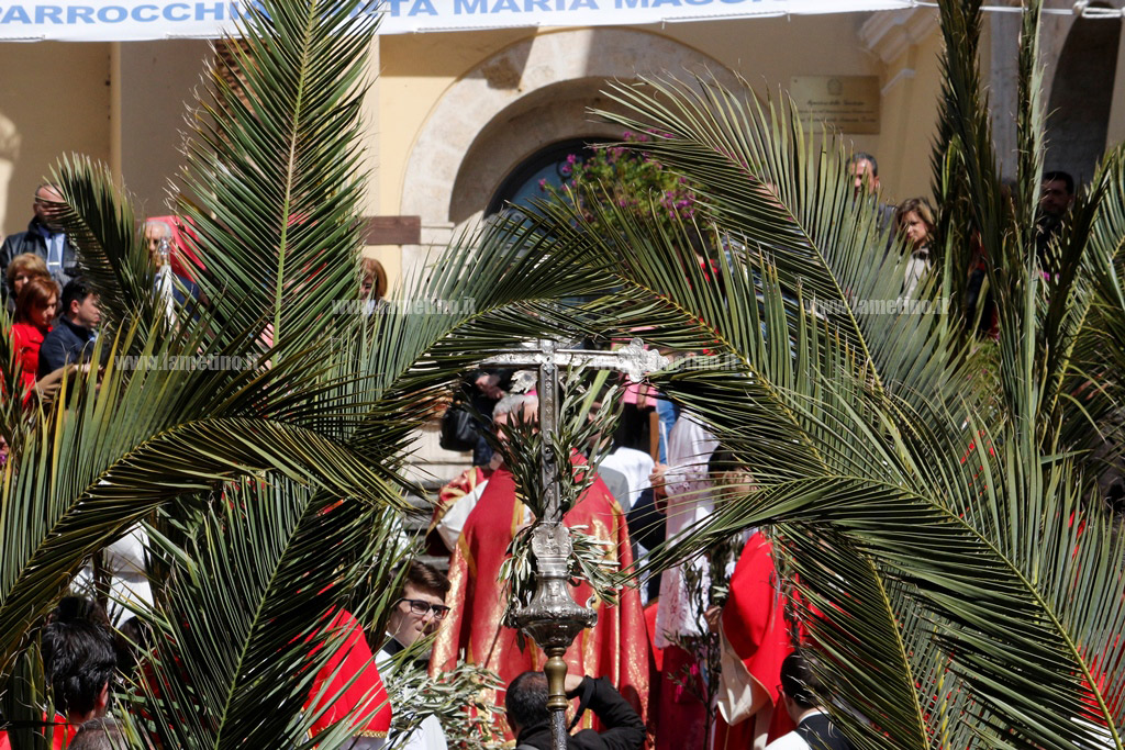 palme2016-6.jpg