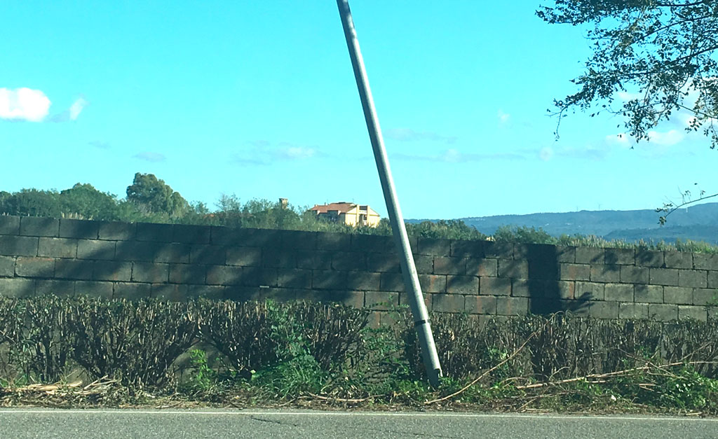 palo-091118.jpg
