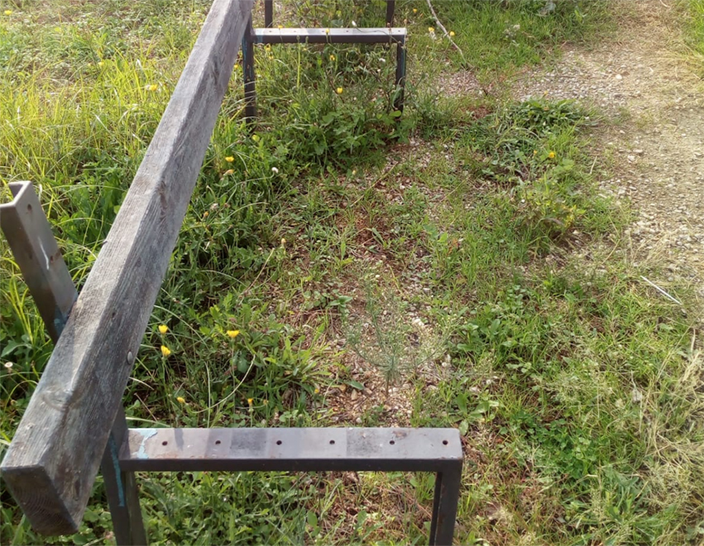 panchine-peppino-impastato.jpg