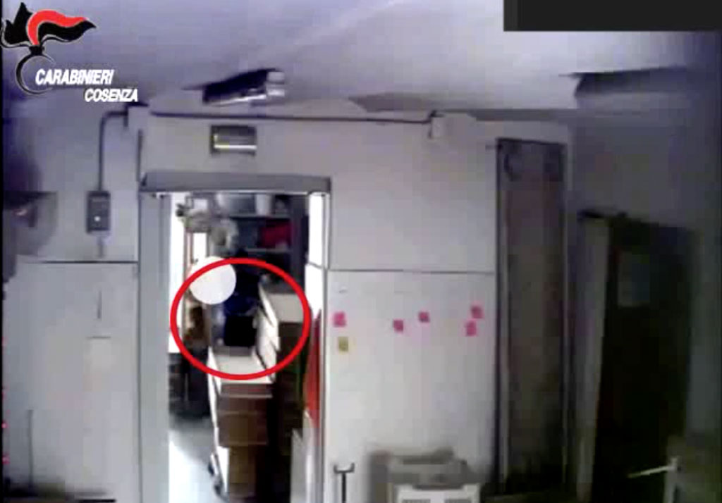 Antico forno trasformato in deposito e confezionamento marijuana, arresti nel cosentino - VIDEO 
