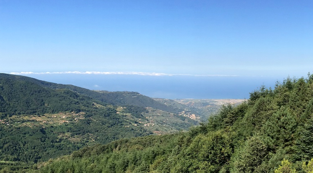 Nocera Terinese, divieto di balneazione in due tratti del litorale