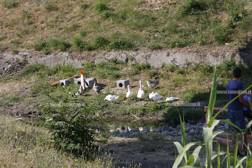 papere-parco-mastroianni2.jpg