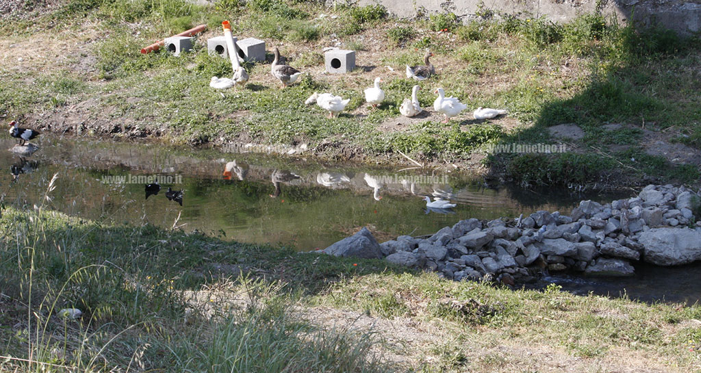 papere-parco-mastroianni4.jpg