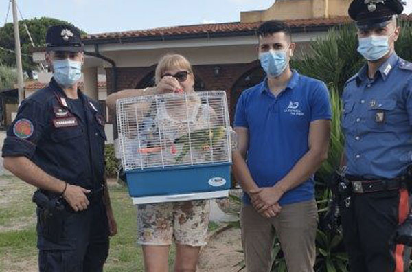 Carabinieri ritrovano pappagallo smarrito appartenente a specie protetta a Ricadi, restituito a proprietaria